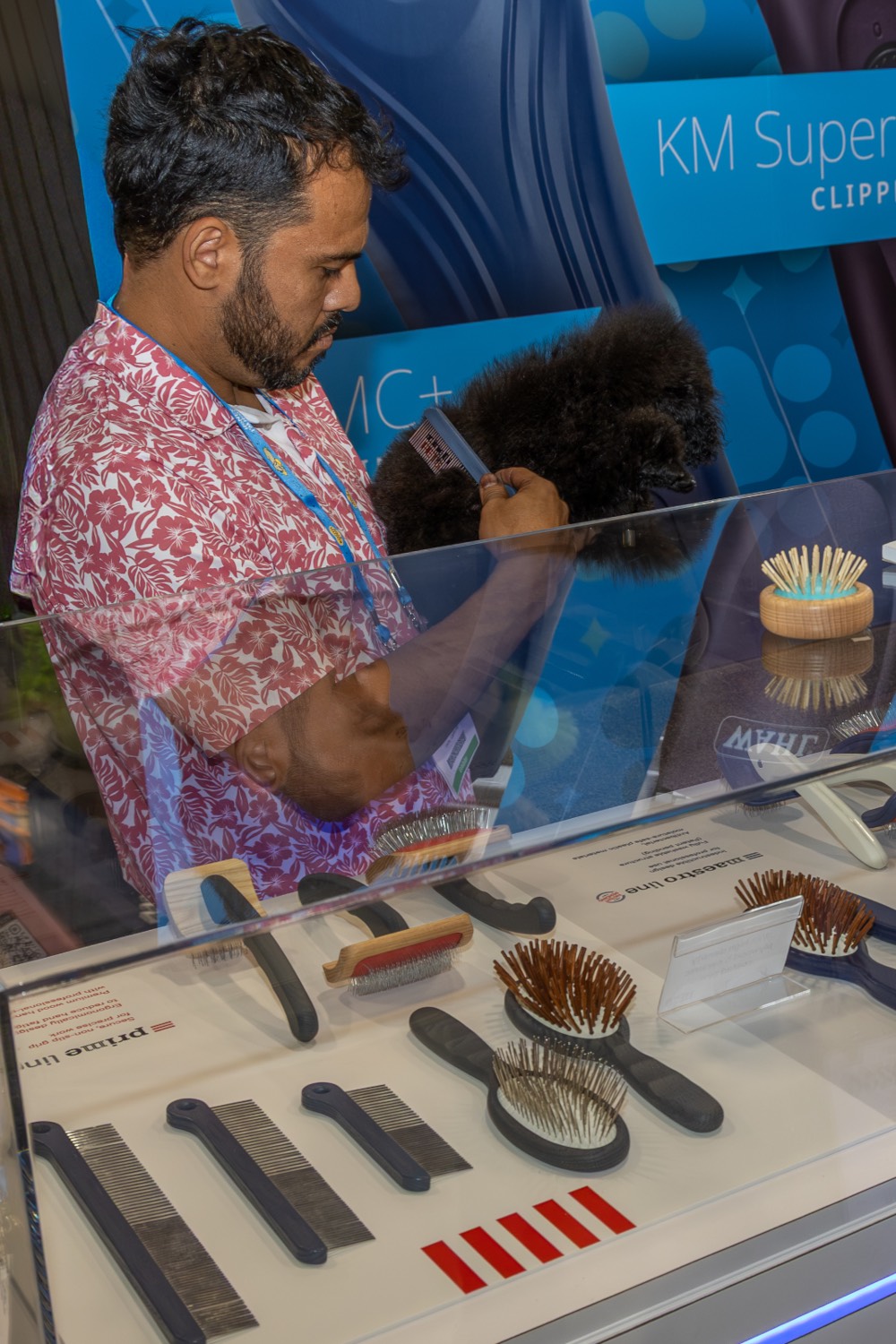 A professional groomer brushing a poodle with a Minelli PETS grooming tool during a live show.
